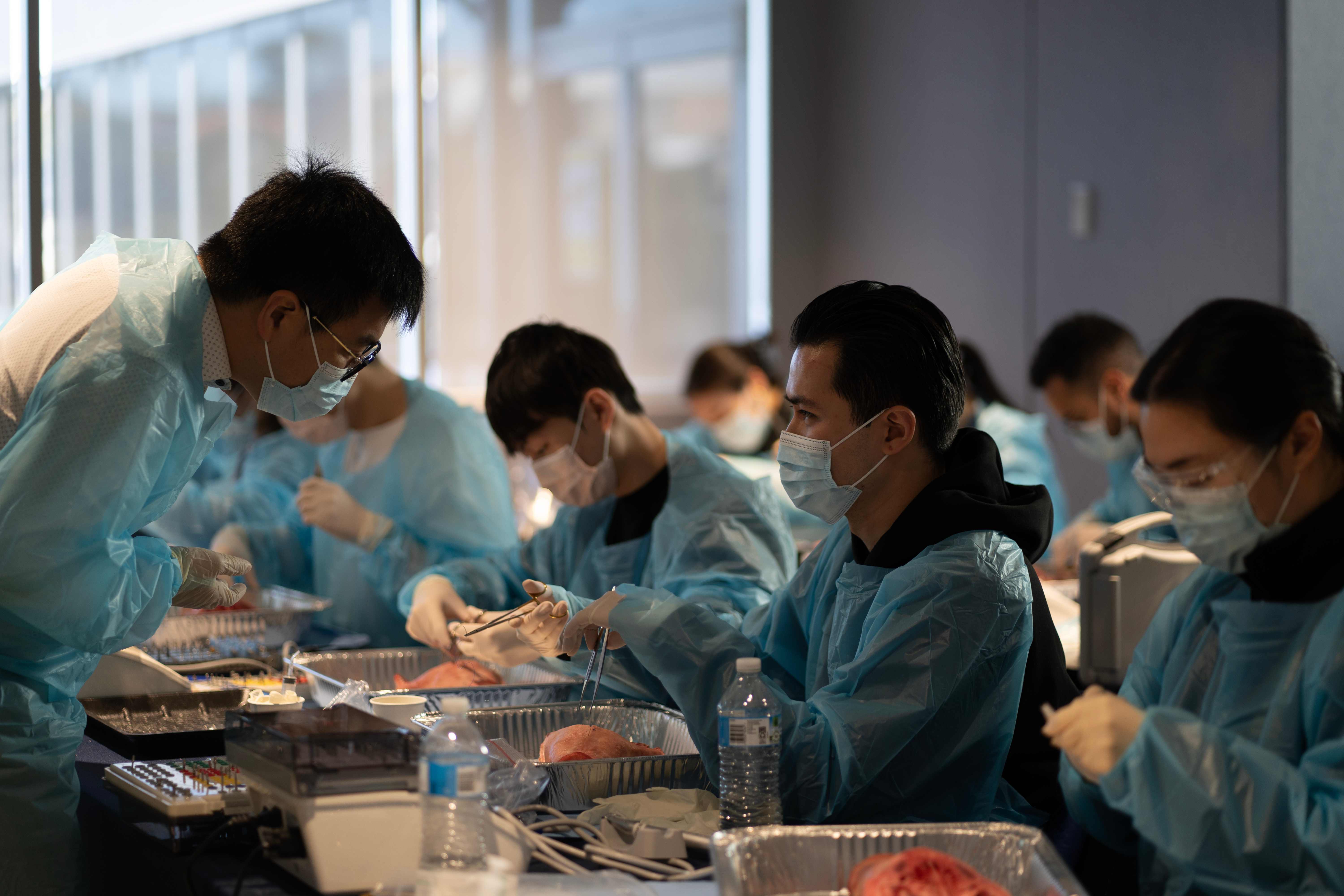 Hands-on implant workshop