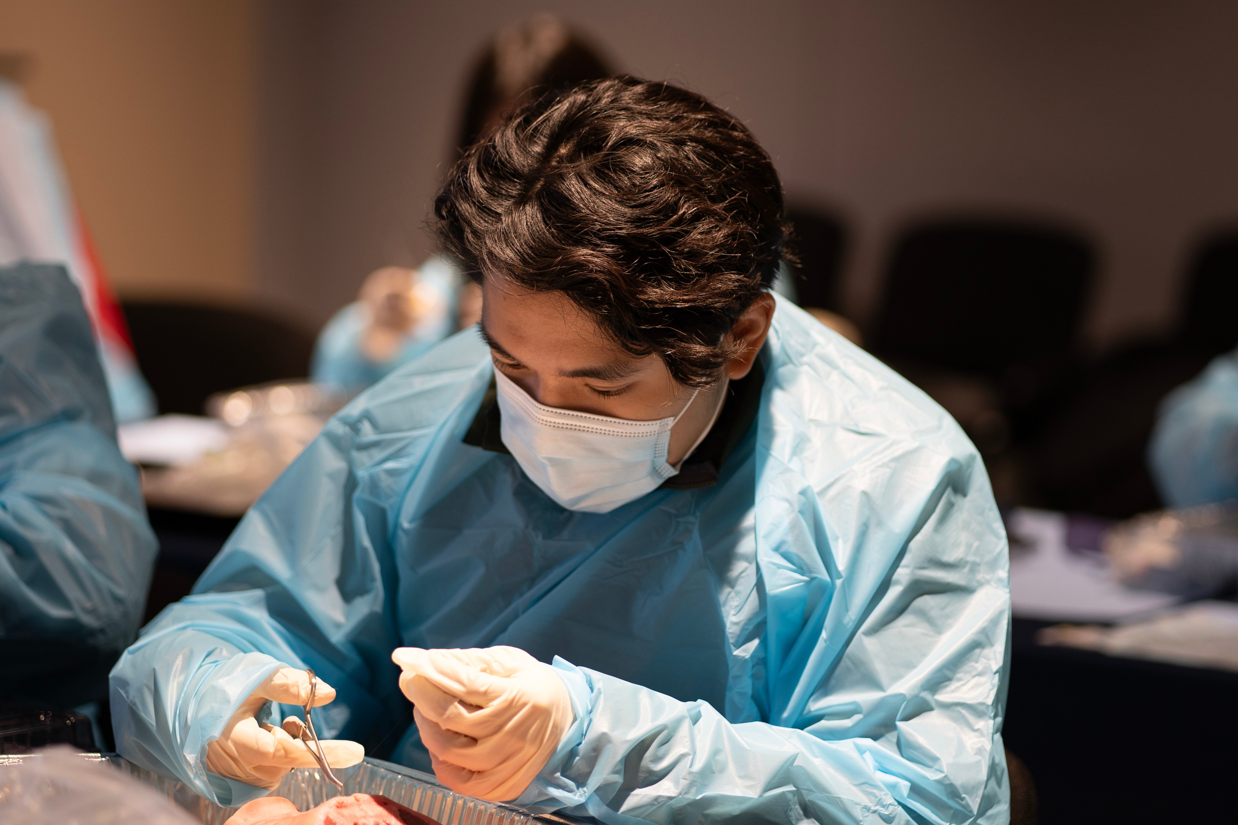 Dentist focused on suturing practice