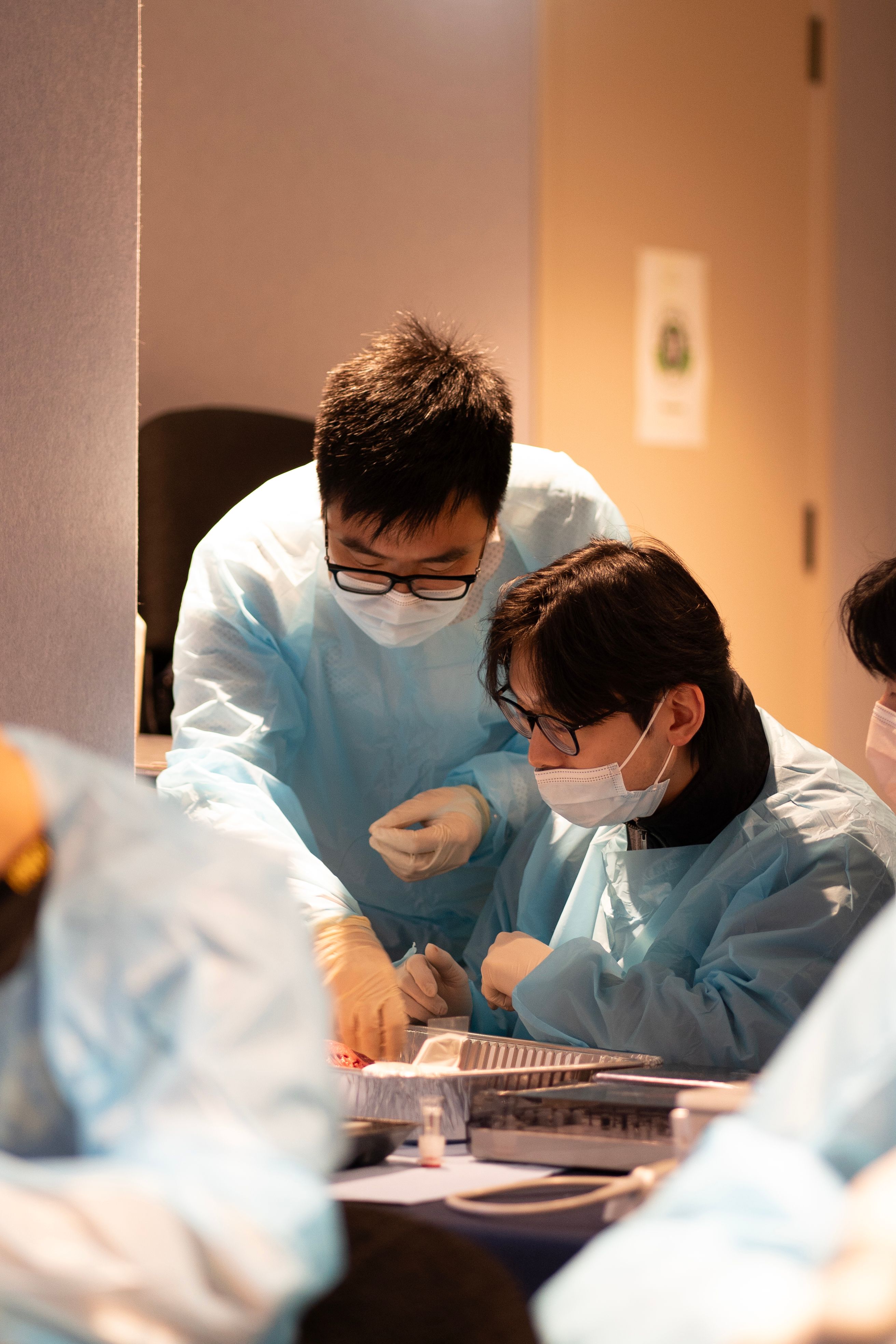Senior dentist mentoring a graduate